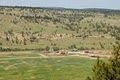 Black Hills Wild Horse Sanctuary / Institute of Range and American Mustang image 3