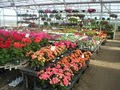 Blackburn Nursery, Inc. image 4