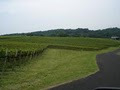 Blair Vineyards image 5