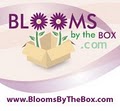 Blooms By The Box logo