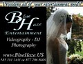 Blue Haze Entertainment image 2