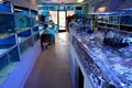 Blue Reef Aquatics Tropical Fish image 5