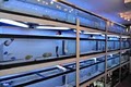 BlueStarAqua Saltwater fish Coral Reef Aquarium Store image 2