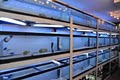 BlueStarAqua Saltwater fish Coral Reef Aquarium Store image 1