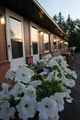 Bluffs Inn image 6
