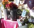 Boulder Farmers' Market logo