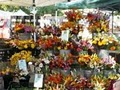 Boulder Farmers' Market image 4