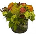 Brattle Square Florist image 2