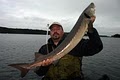 BrianK's Trophy Cat Fishing and Sturgeon Adventures image 6