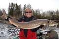 BrianK's Trophy Cat Fishing and Sturgeon Adventures logo
