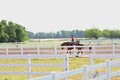 Bridlewood Equestrian image 9
