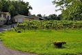 Brimstone Hill Vineyard image 1