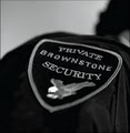 Brownstone Security image 4