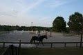Buckhorn Farm Equestrian Center image 2