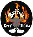 Buffalo City Diesel logo