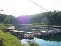 Bull Shoals Lake Boat Dock image 10