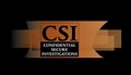 CSI Services (Investigations & Security) logo