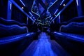 Cali Party Bus San Jose image 8