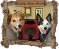Camp Bow Wow Carmel image 3