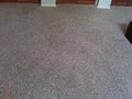 Candid Carpet Care image 9