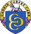 Candid Carpet Care image 10