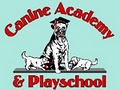 Canine Academy & Playschool image 4