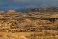 Canyon of the Ancients Guest Ranch/Vacation Rental image 10
