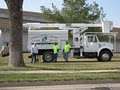 Capital City Tree Care image 6