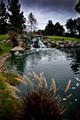 Carmel Mountain Ranch Country Club image 2