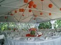 Cartwright & Daughters Tent & Party Rentals Inc. image 2