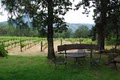 Cathedral Ridge Winery image 1