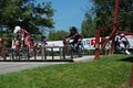 Cedar BMX image 6