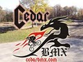 Cedar BMX image 1