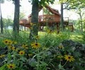 Cedar Cove - Branson Vacation Houses image 2