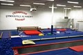 Champions United Gymnastics Academy image 4