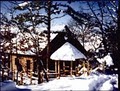 Cherokee Mountain Log Cabin Resort image 2