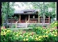 Cherokee Mountain Log Cabin Resort image 1