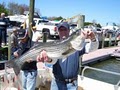 Chesapeake Bay Sport Fishing image 3
