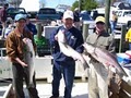 Chesapeake Bay Sport Fishing image 5