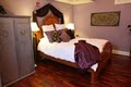 Chestnut Hill Bed and Breakfast Inn image 1