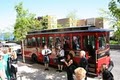 Chicago Barhopping Trolleys image 5