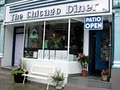 Chicago Diner image 9