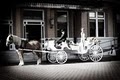 Cinderella Carriages of Pensacola, LLC image 3