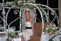 Cinderella Carriages of Pensacola, LLC image 4