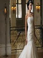 Classic Bride & Formals - Bridal Gowns near Charlotte image 7