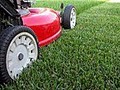 Clean-Cut Lawn Services Inc image 3