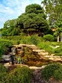 Cleveland Botanical Garden image 8