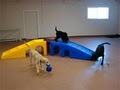 Cloud Canine Pet Resort and Day Spa image 4