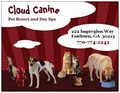 Cloud Canine Pet Resort and Day Spa image 5