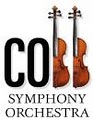 Cobb Symphony Orchestra image 2